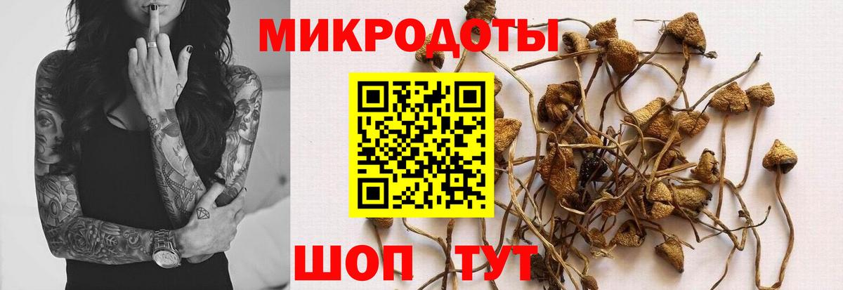 как найти   Вход с VPN  Тихорецк  Псилоцибиновые грибы мицелий 